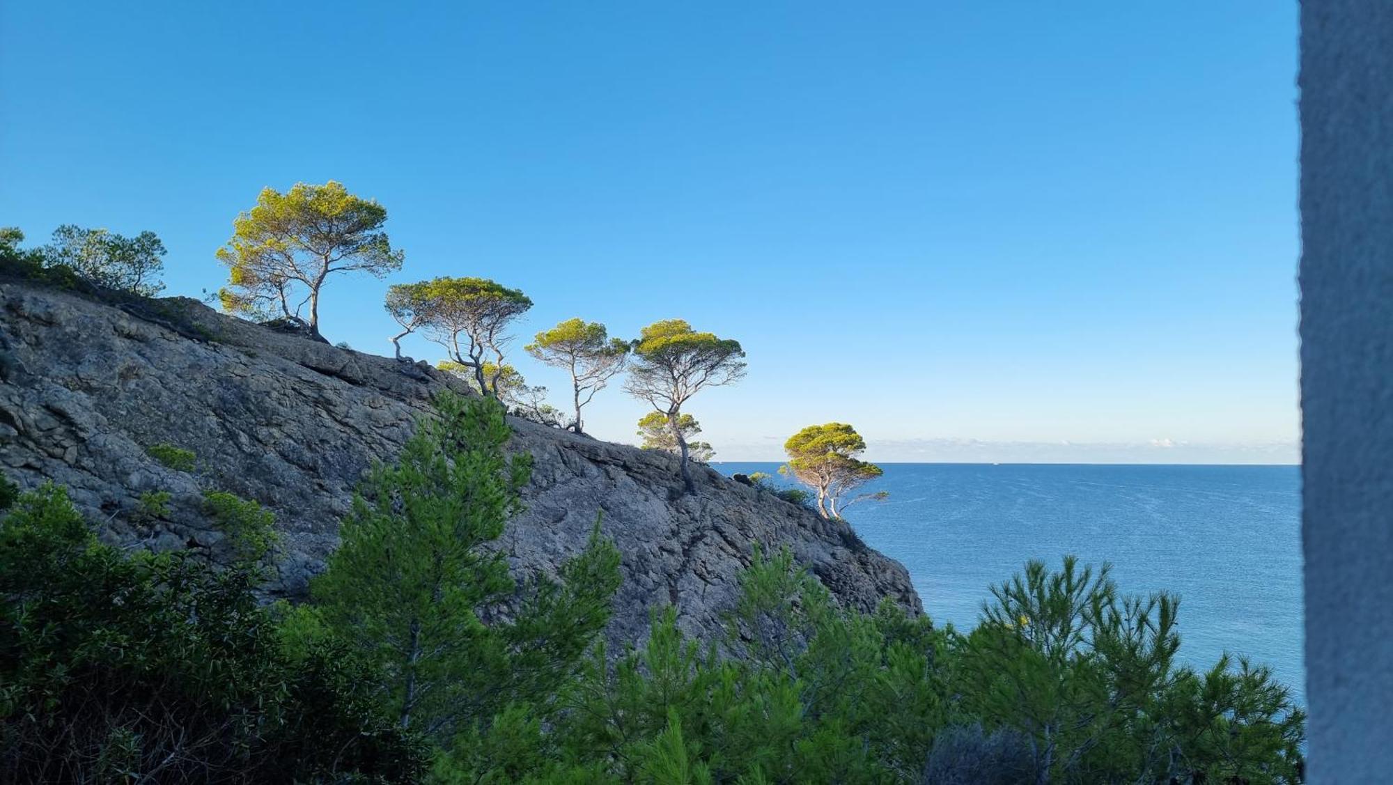 Hapimag Resort Paguera Peguera Buitenkant foto